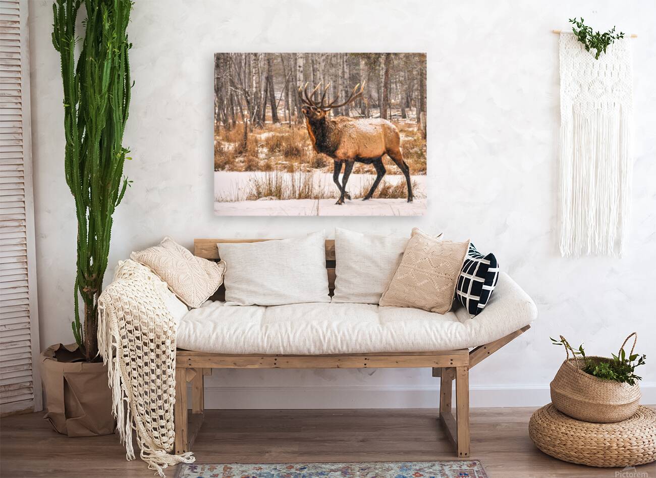 JBS 4996  Reproduction