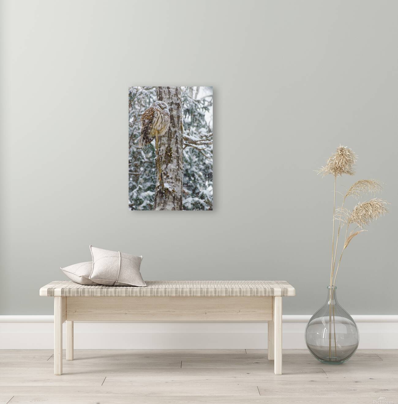 JBS 4998 Reproduction