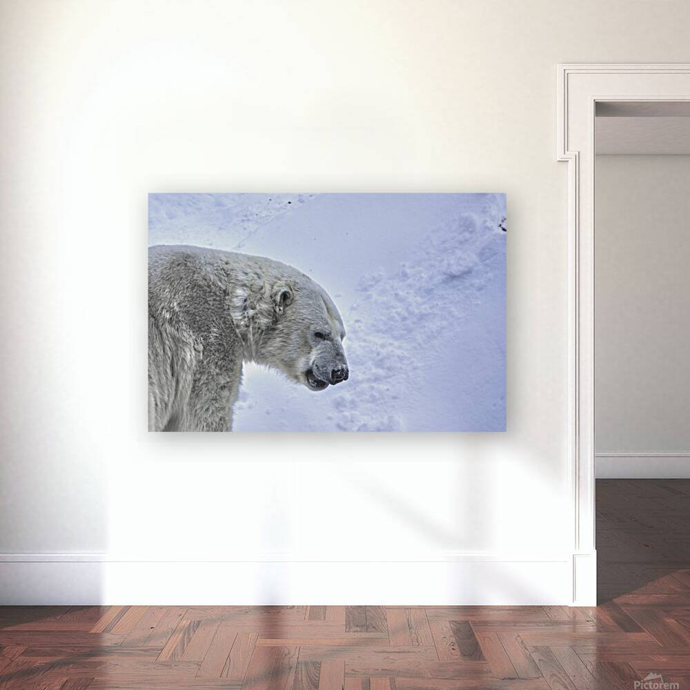 JBS 9247 Reproduction