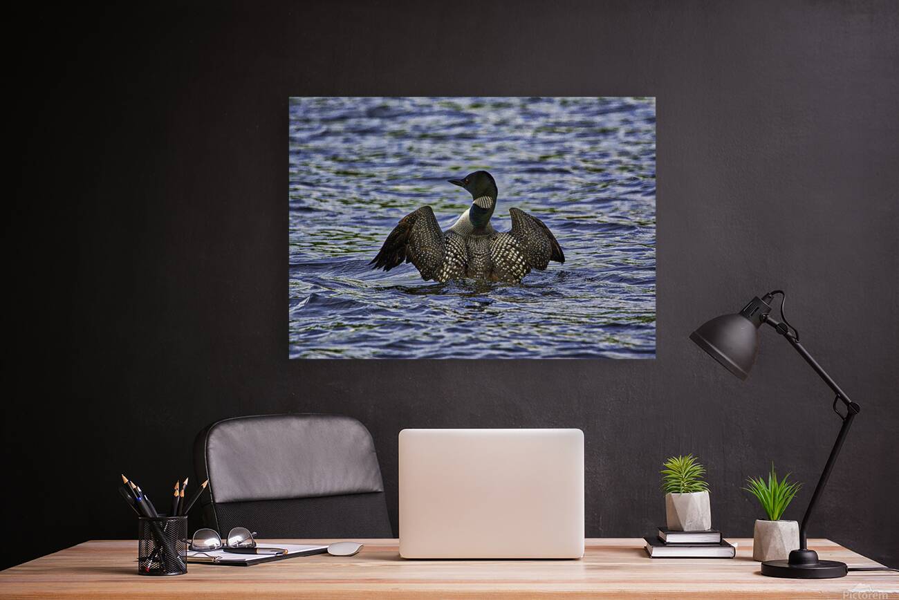 JBS 23862 Reproduction