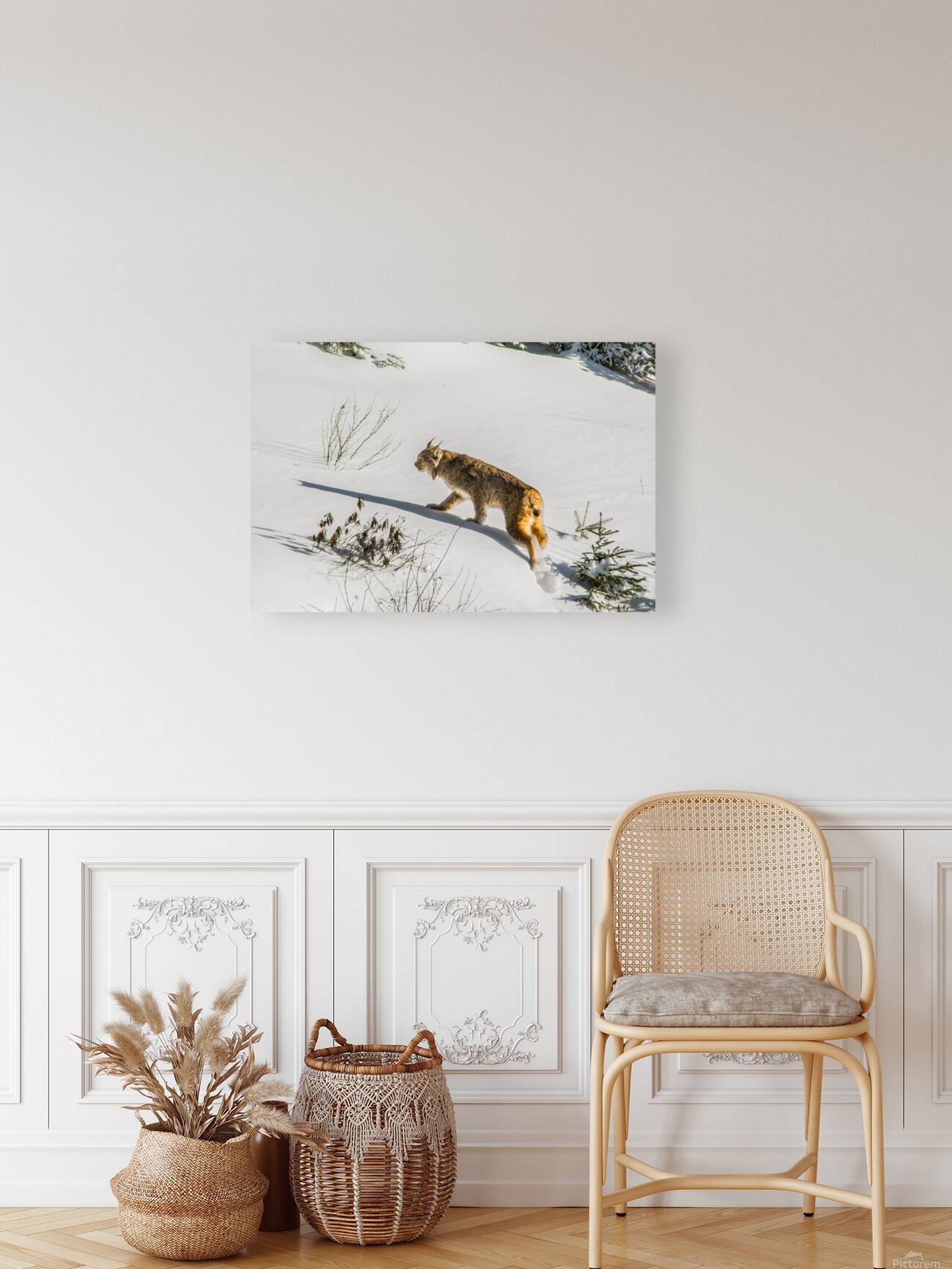 JBS 8781 Reproduction