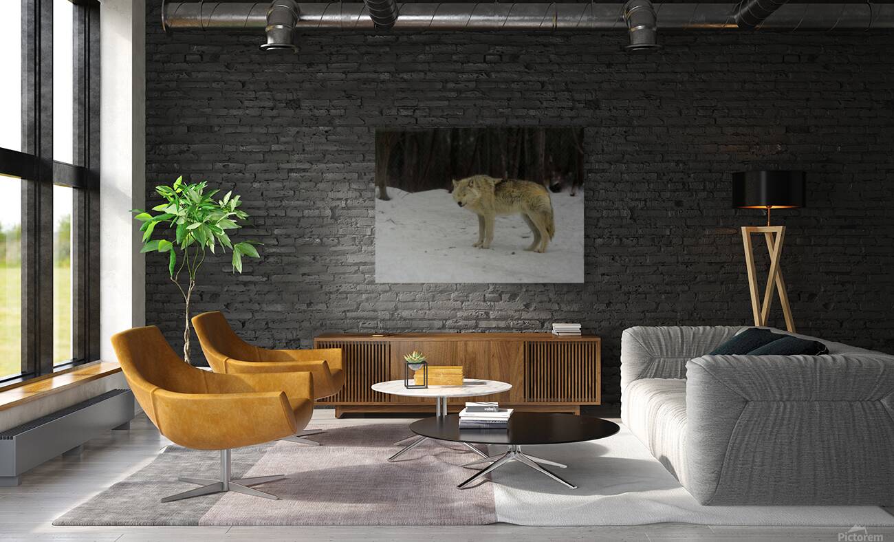 JBS 9056 Reproduction