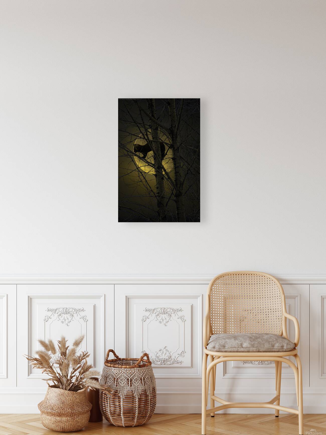 JBS 5294 2 Reproduction