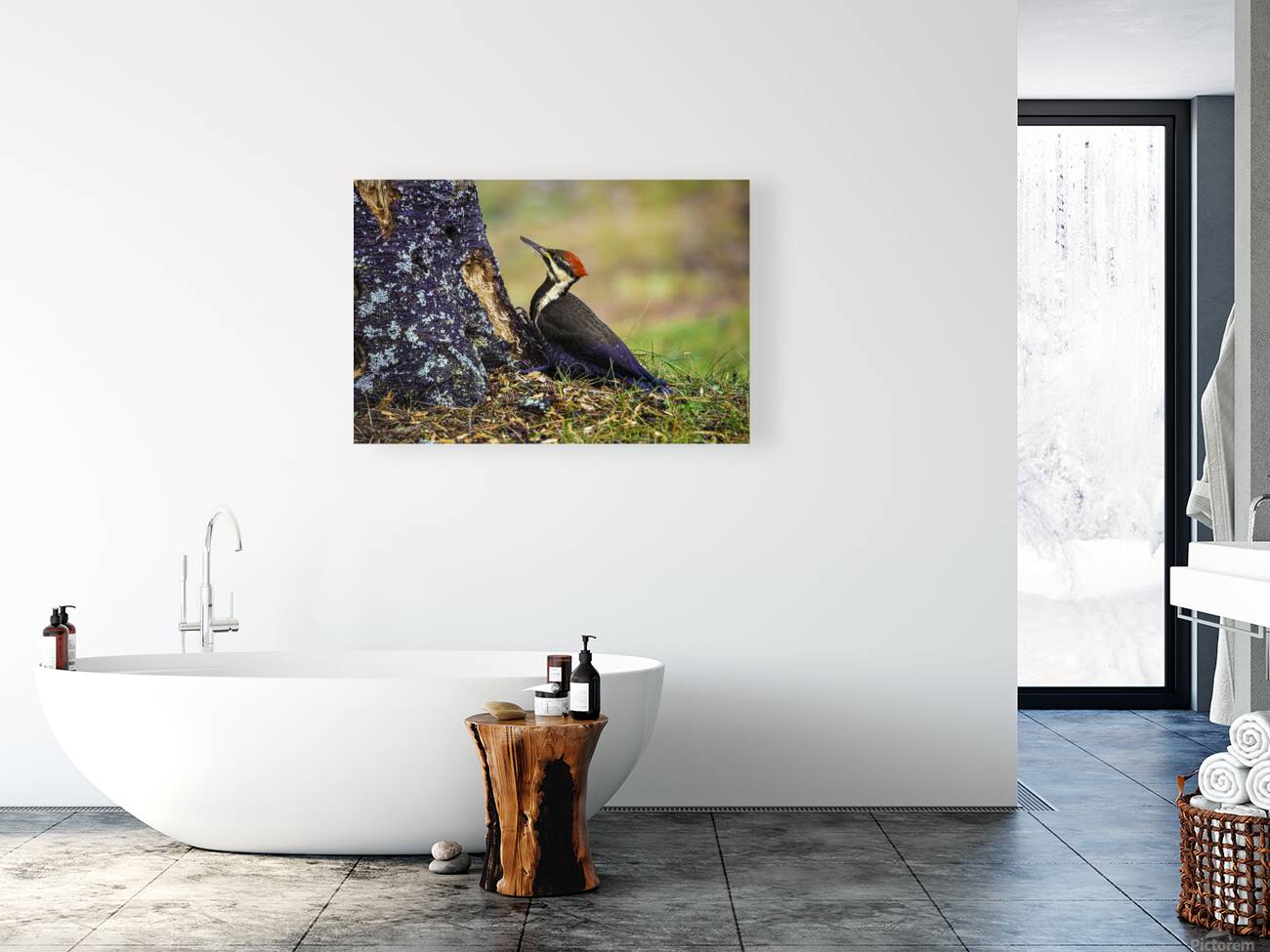 JBS 9742 Reproduction