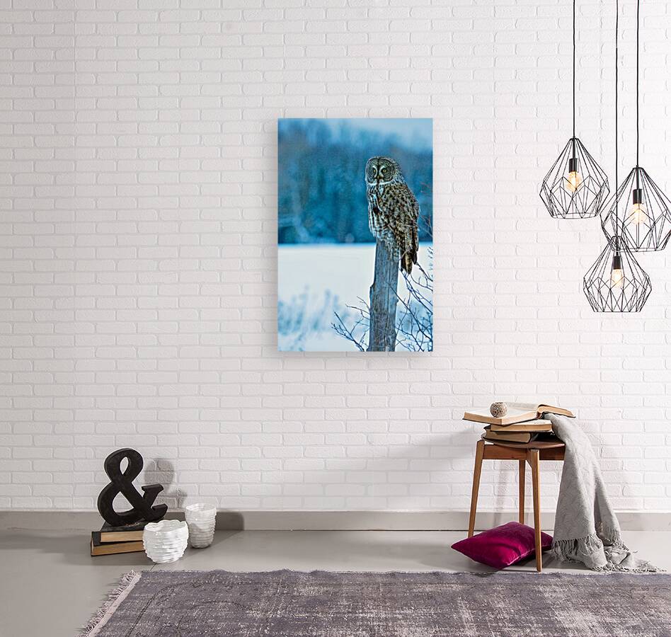 jbs 5420-2 Reproduction