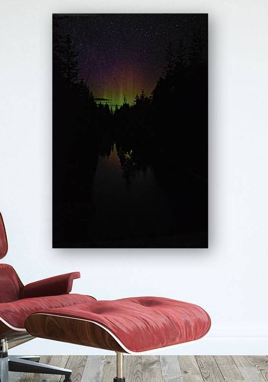 swamp light by James Shedden Photography