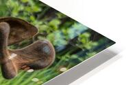 JBS 2500 HD Metal print