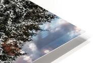 ZJS 9144  HD Metal print