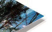 JBS 5227 HD Metal print