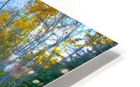 JBS 7000  HD Metal print