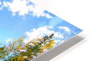 JBS 6991  HD Metal print