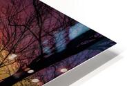 JBS 9799 HD Metal print