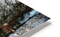 JBS 5227 16x20 HD Metal print