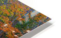 ZJS 5787 HD Metal print