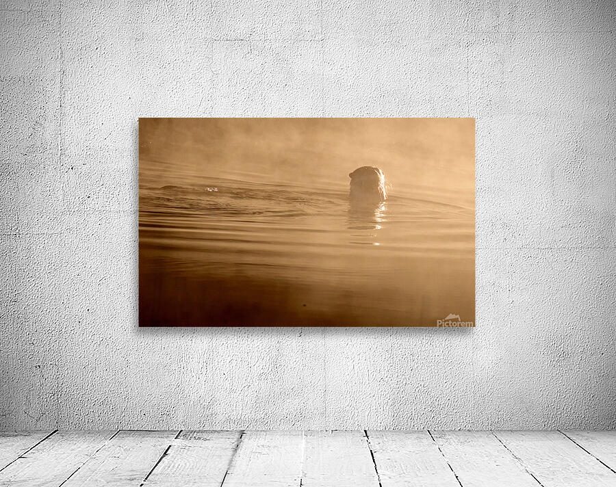 DSC 1719  Wall Preview