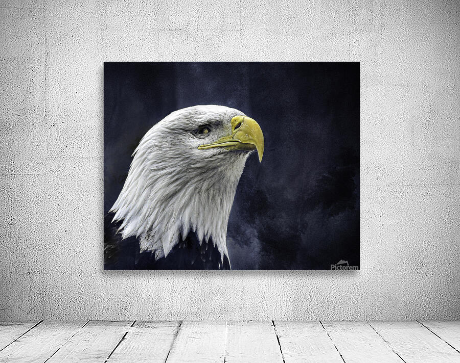 JBS 1282  Wall Preview