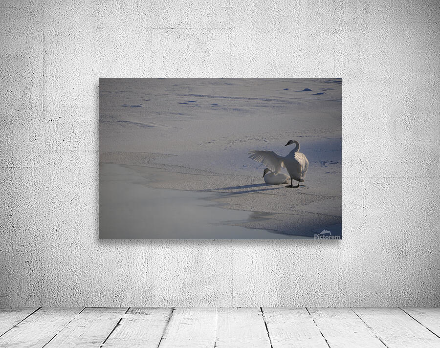 DSC 5806 Wall Preview