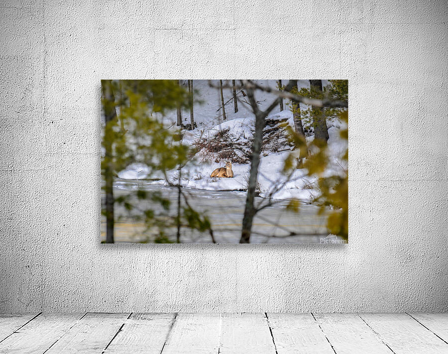  JBS5840 1 Wall Preview