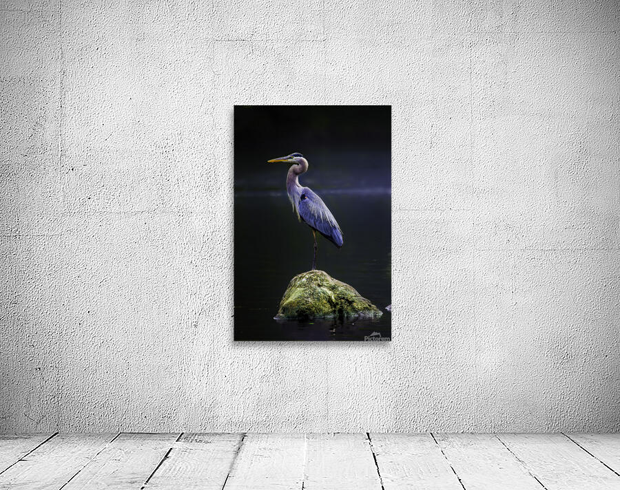 JBS 1706 2 Wall Preview