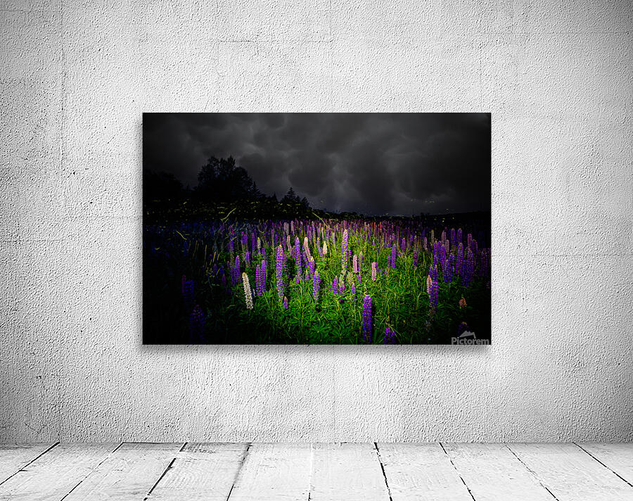 ZJS 7780  Wall Preview