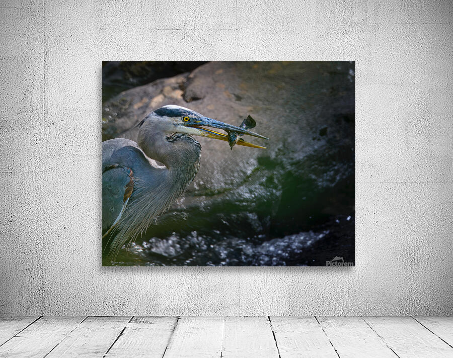 JBS 3491 Wall Preview