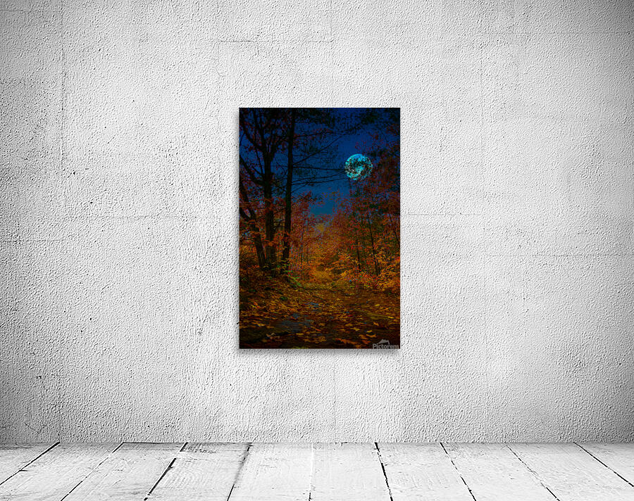 JBS 6767  Wall Preview