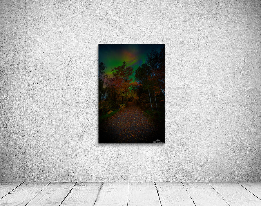 JBS 3816  Wall Preview