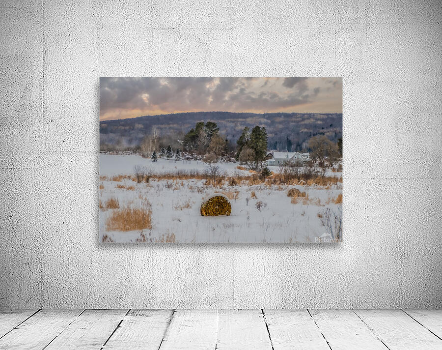 ZJS 9136  Wall Preview