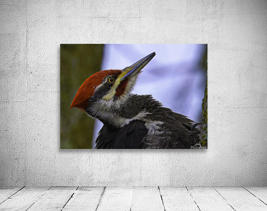 JBS 5301  Wall Preview