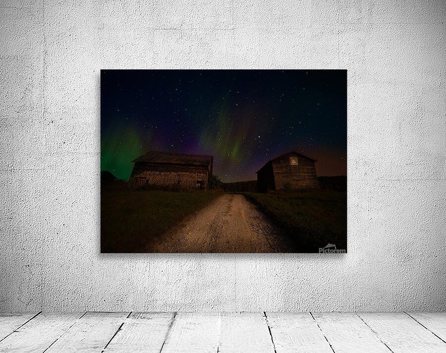 ZJS 8347  Wall Preview