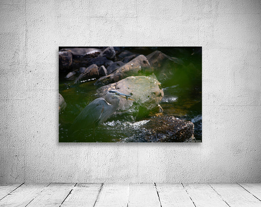 JBS 3491 2 Wall Preview