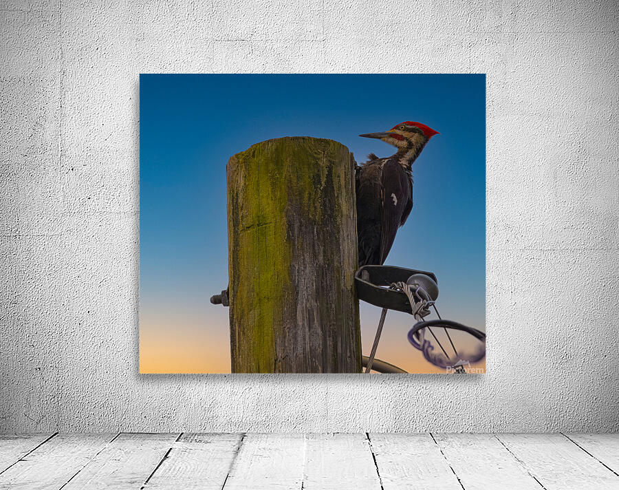 JBS 5368  Wall Preview