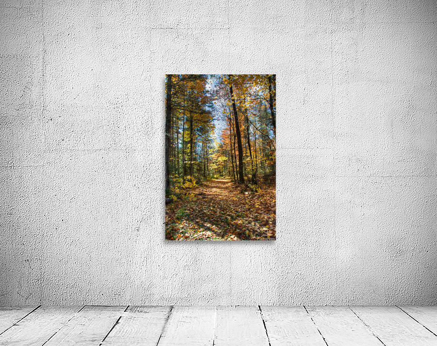 JBS 7125  Wall Preview