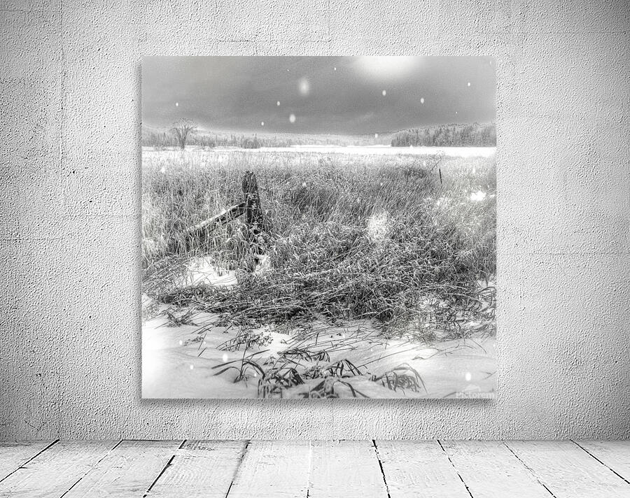 JBS 4080  Wall Preview