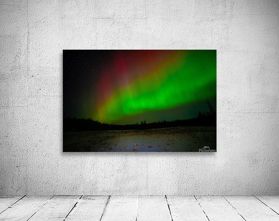 DSC 4379 Wall Preview