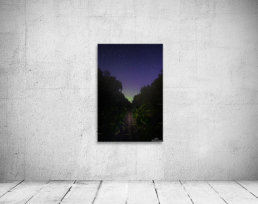 DSC 1684  Wall Preview