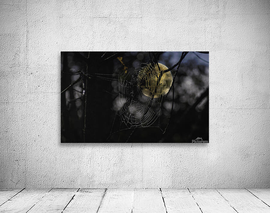 DSC 4847 Wall Preview