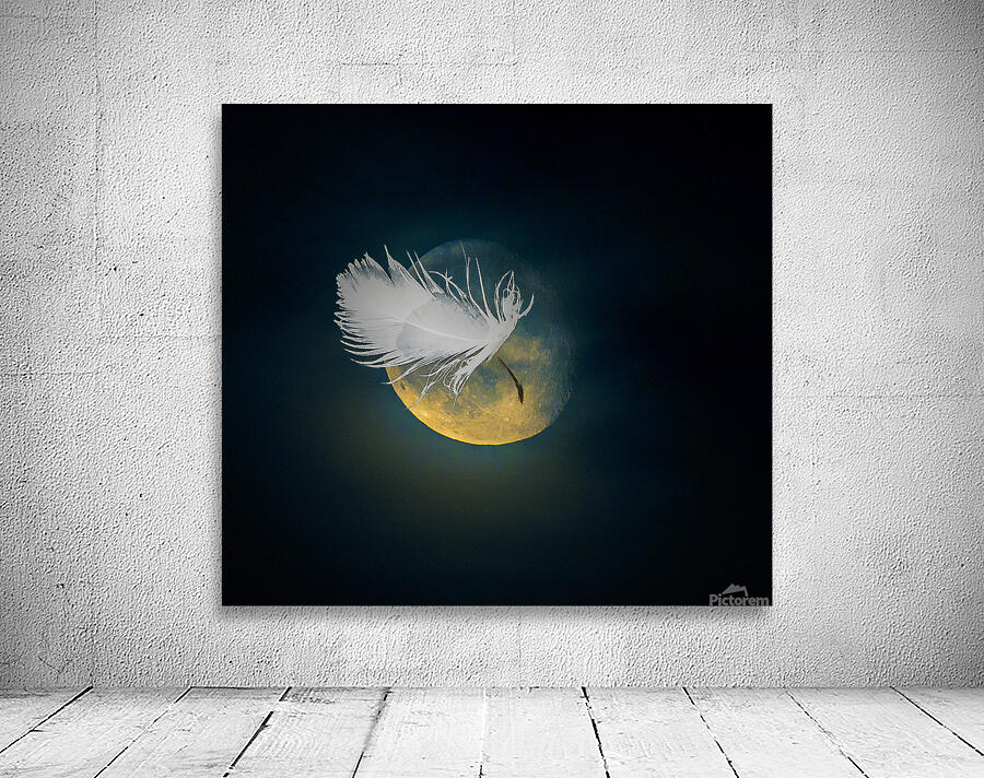 JBS 3024  Wall Preview