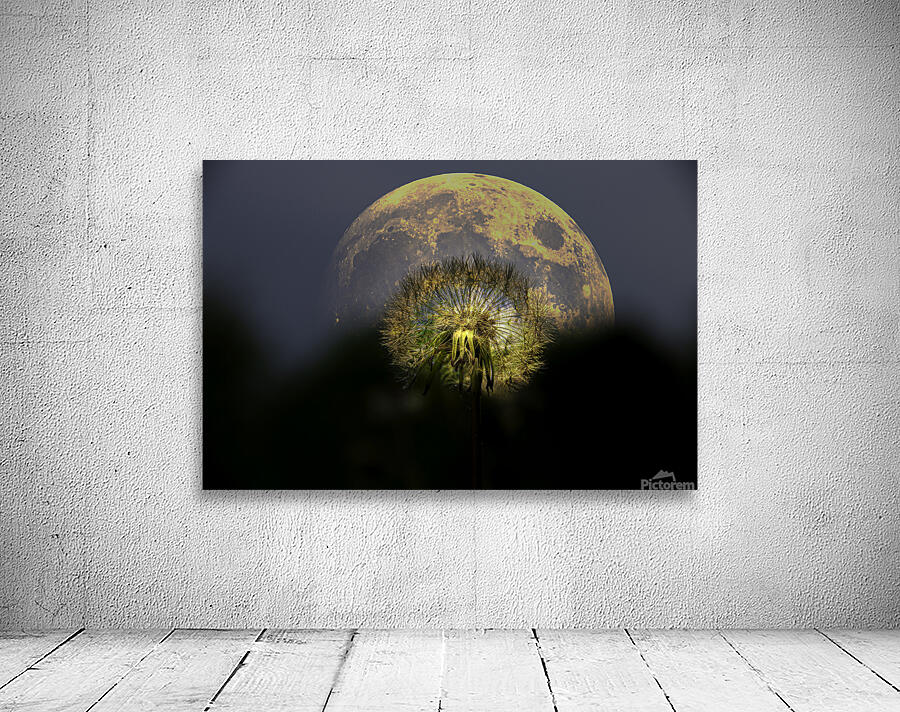 JBS 4981  Wall Preview