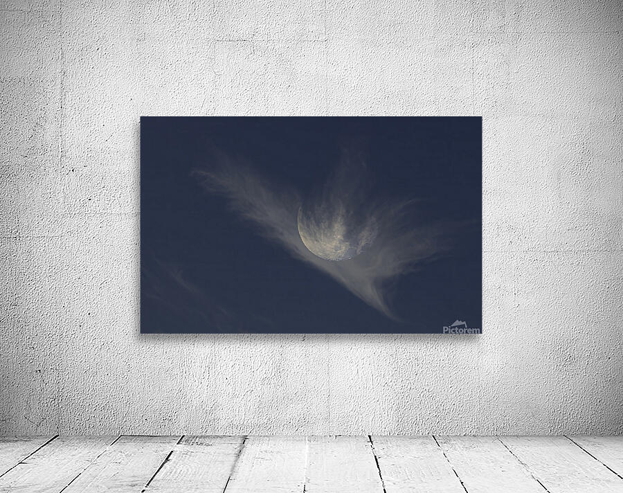 JBS 3341 Wall Preview