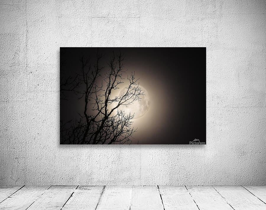 JBS 59702 Wall Preview