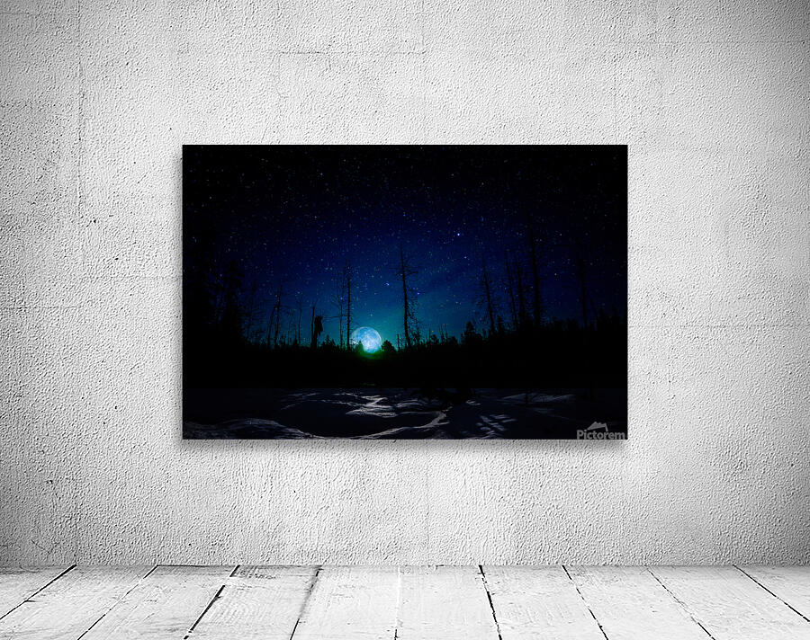 JBS 61401  Wall Preview