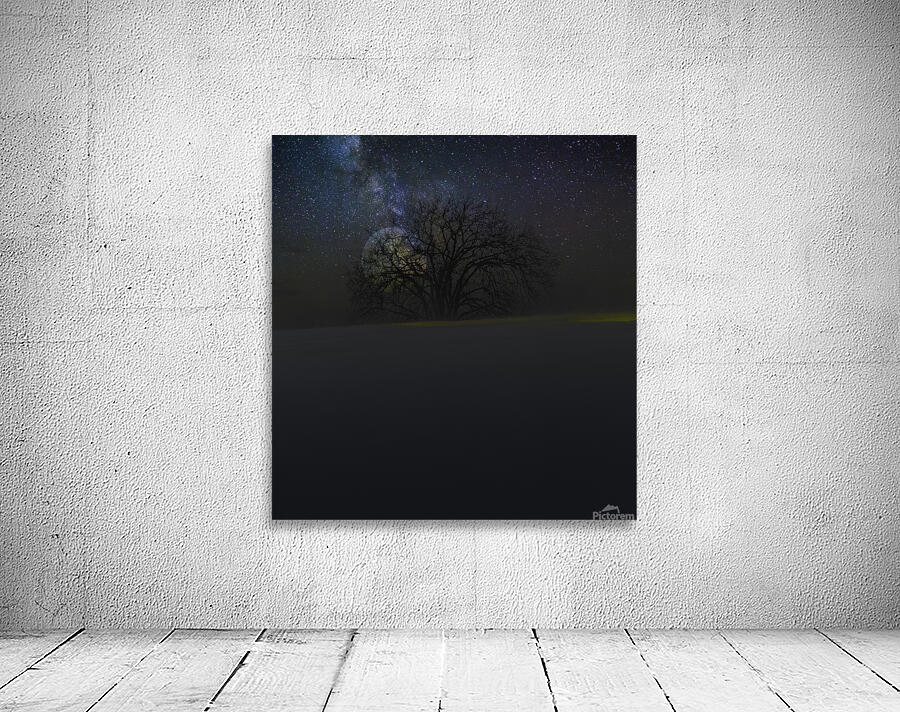 JBS 6098  Wall Preview