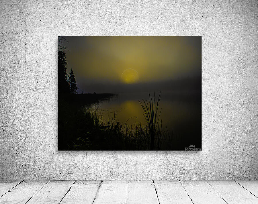 JBS 2558  Wall Preview