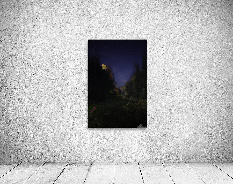 DSC 5763  Wall Preview