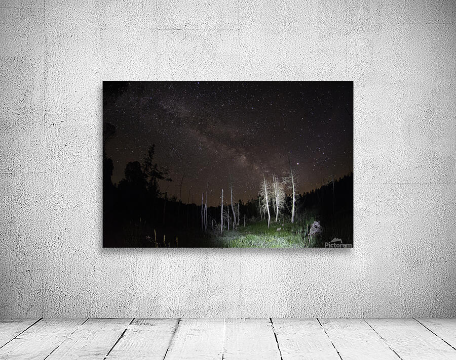 CRC 1492 Wall Preview