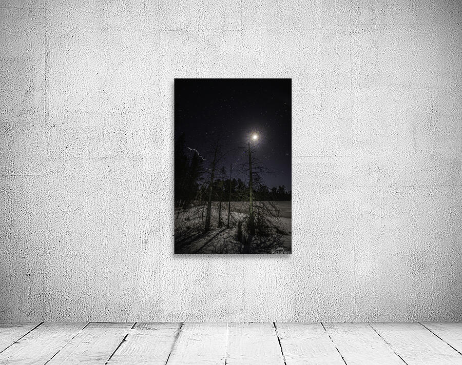 JBS 0579  Wall Preview