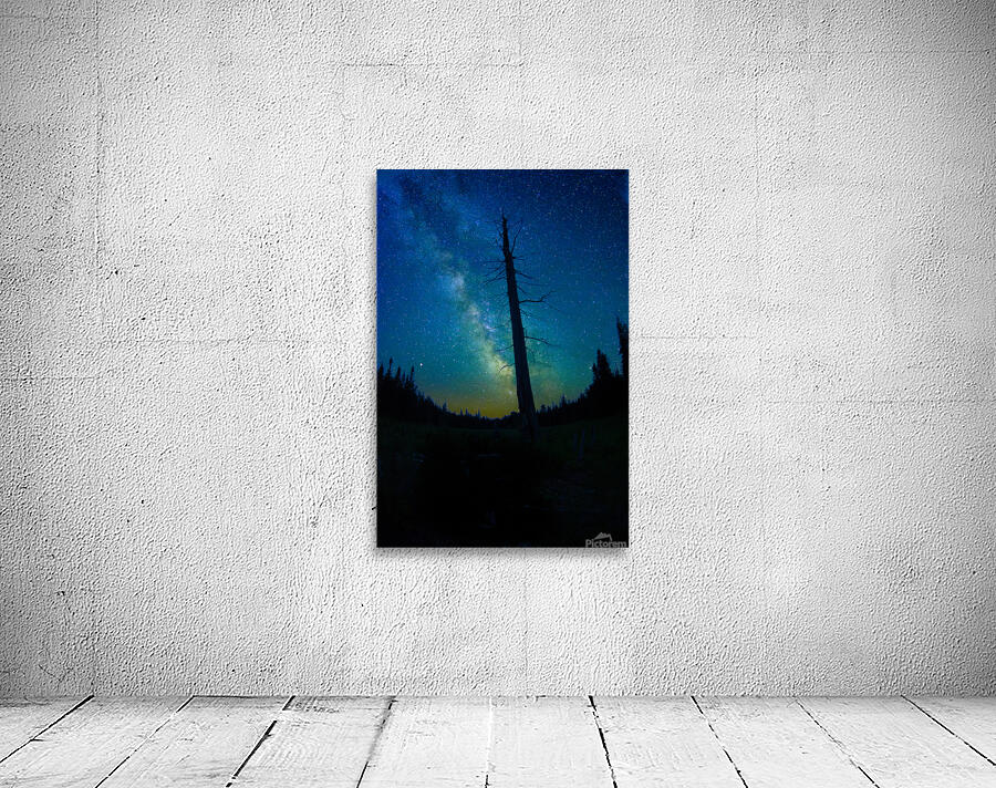 CRC 1662 Wall Preview