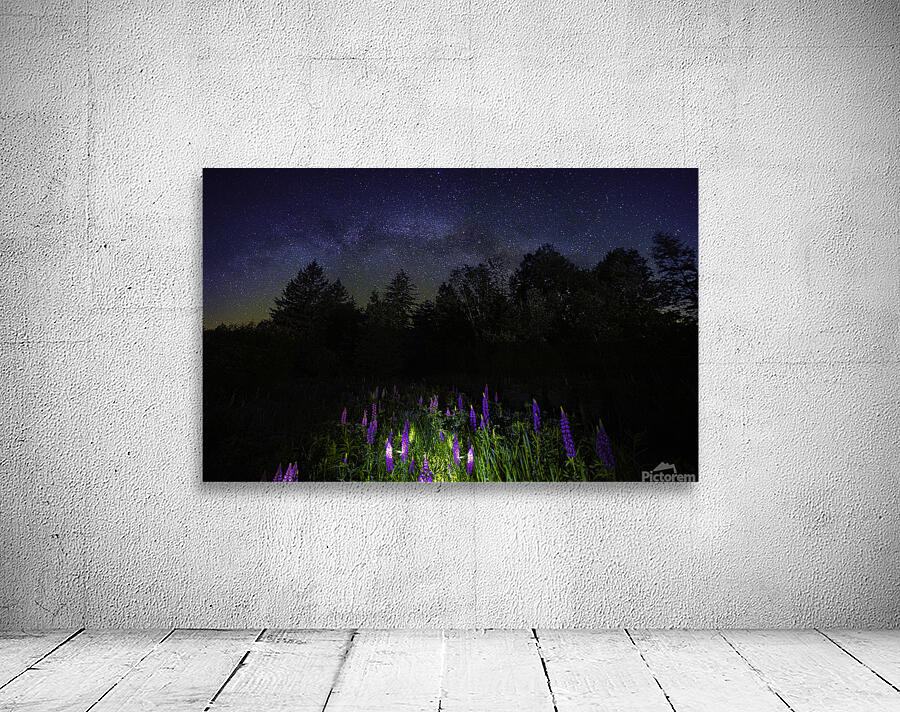 JBS 1800 Wall Preview