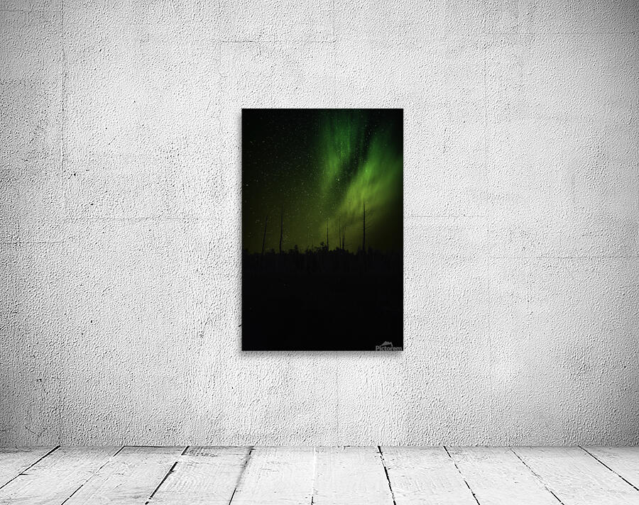 JBS 1399 Wall Preview